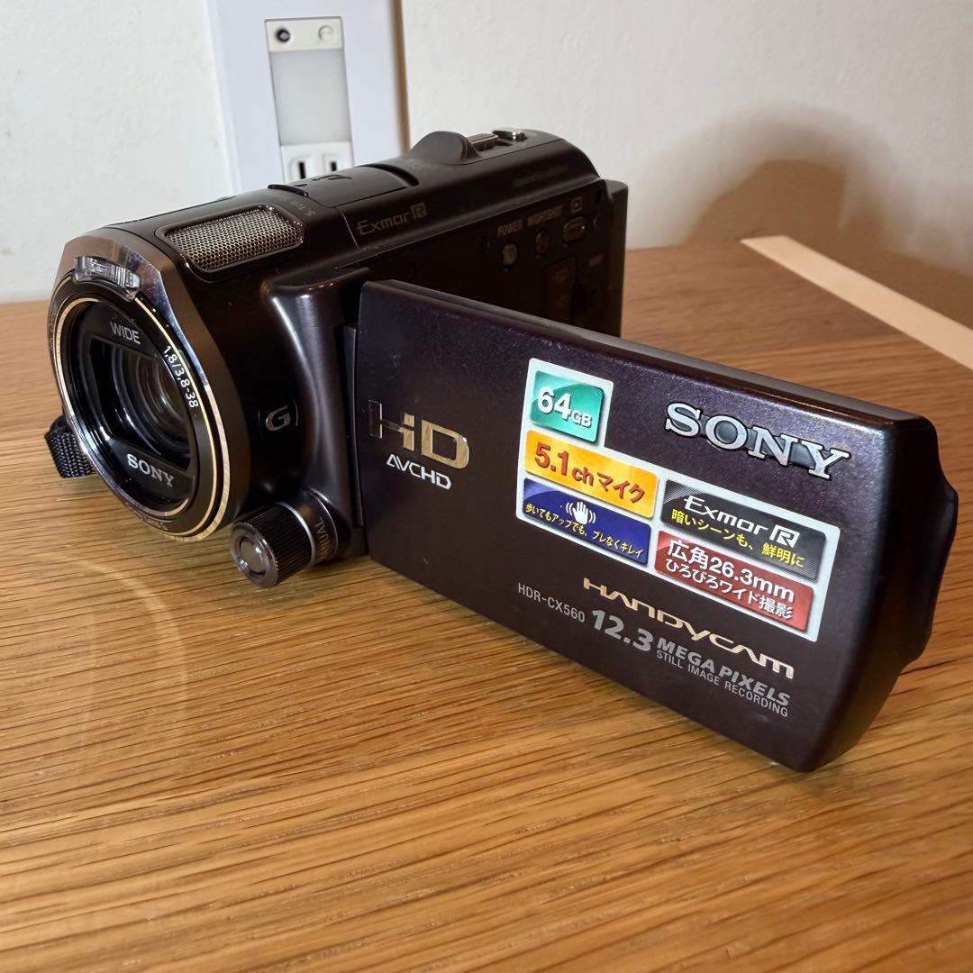 SONY ハンディーカム デジタルビデオ HDR-CX560V バッテリー2個