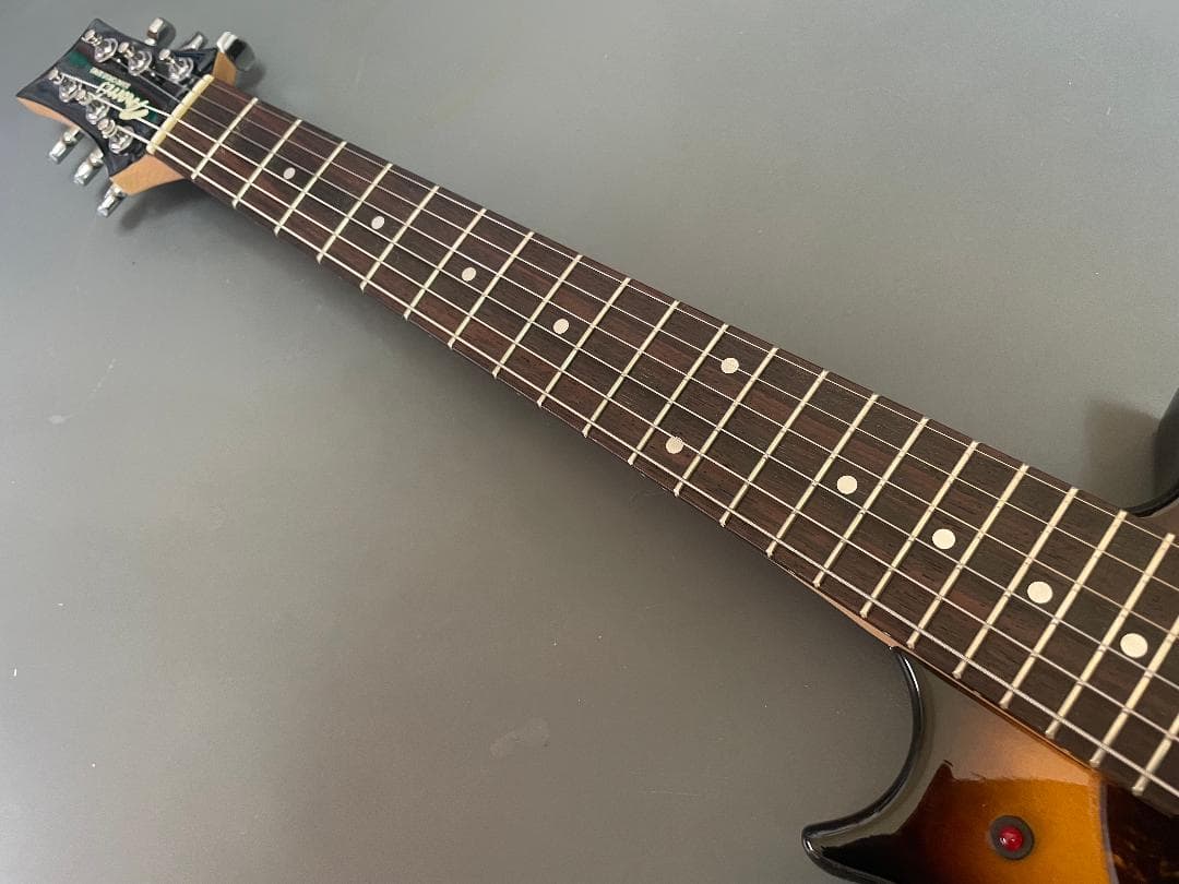 Morris Sound Circus Series アンプ内蔵ギター