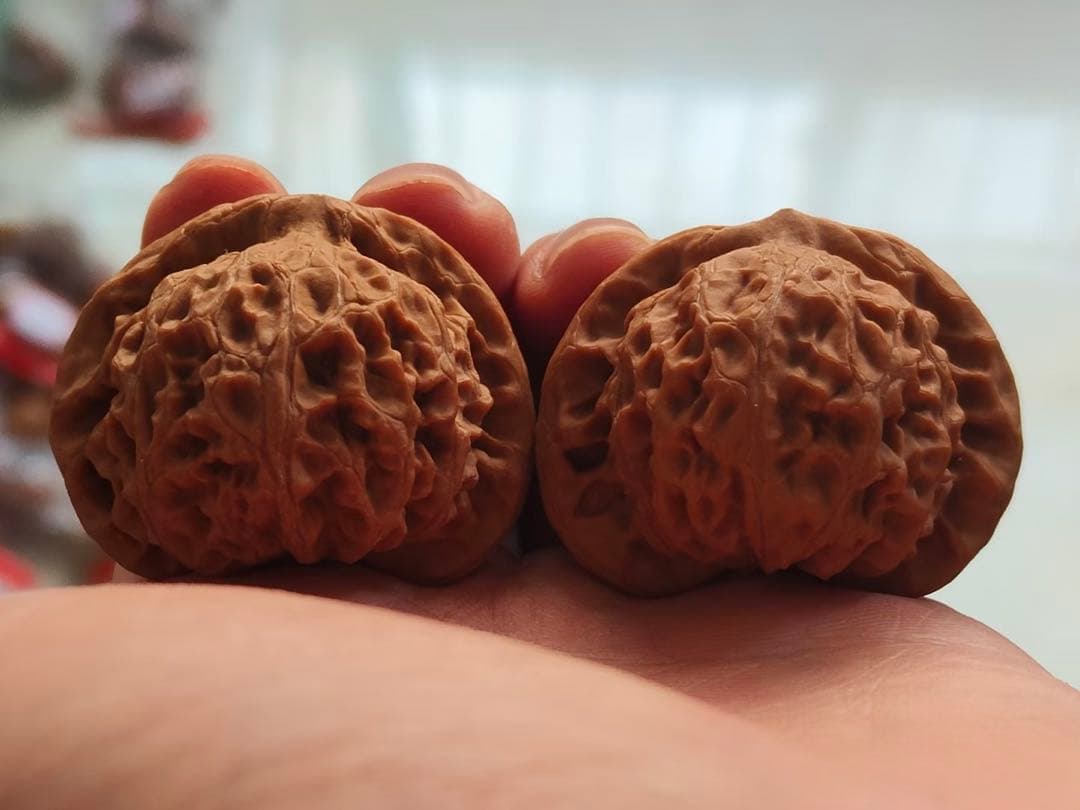 遊び胡桃 桃心宮灯 無修
