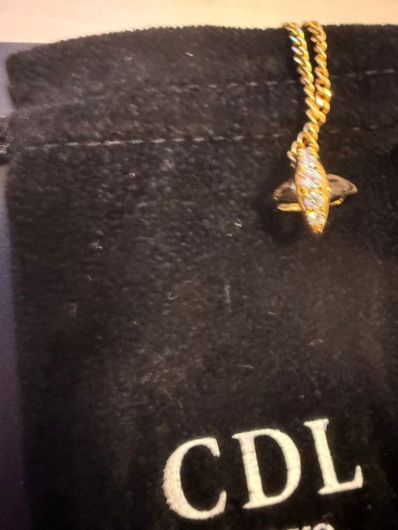 CDL GOLD NECKLACE ネックレス 登坂広臣 着用 美品