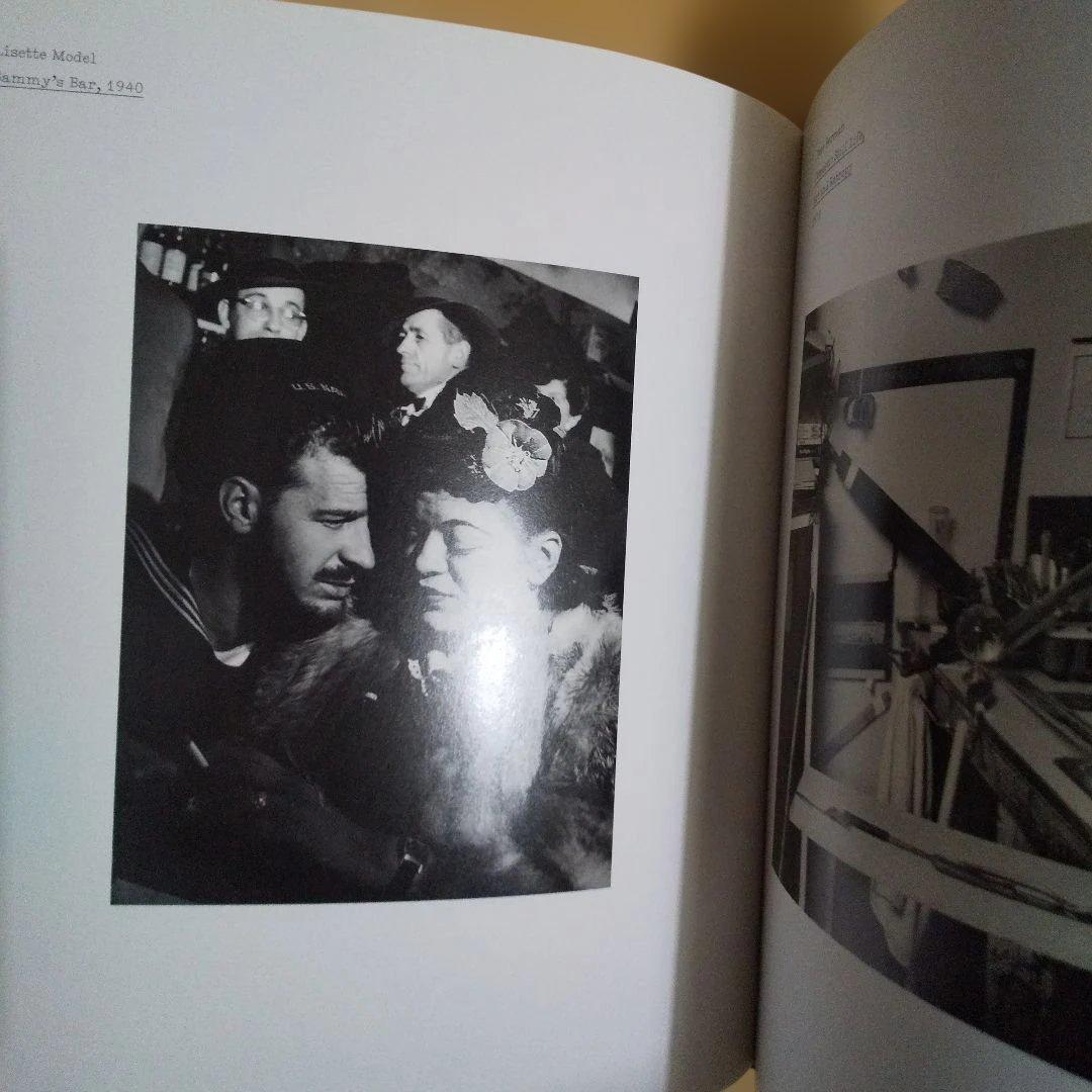 洋書 The Nature of Photographs Stephen Shore