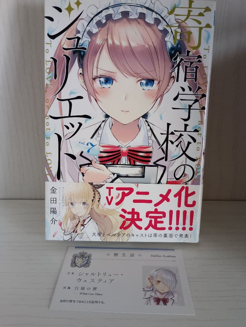小説 寄宿学校のジュリエット