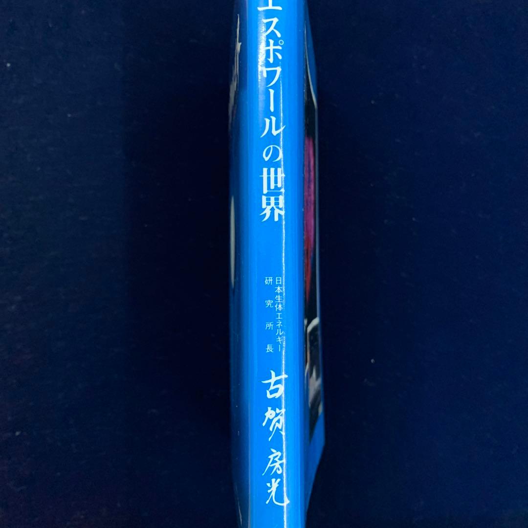 希商品　健康への白球　エスポワールの世界　白球（エスポワール付き360000円）