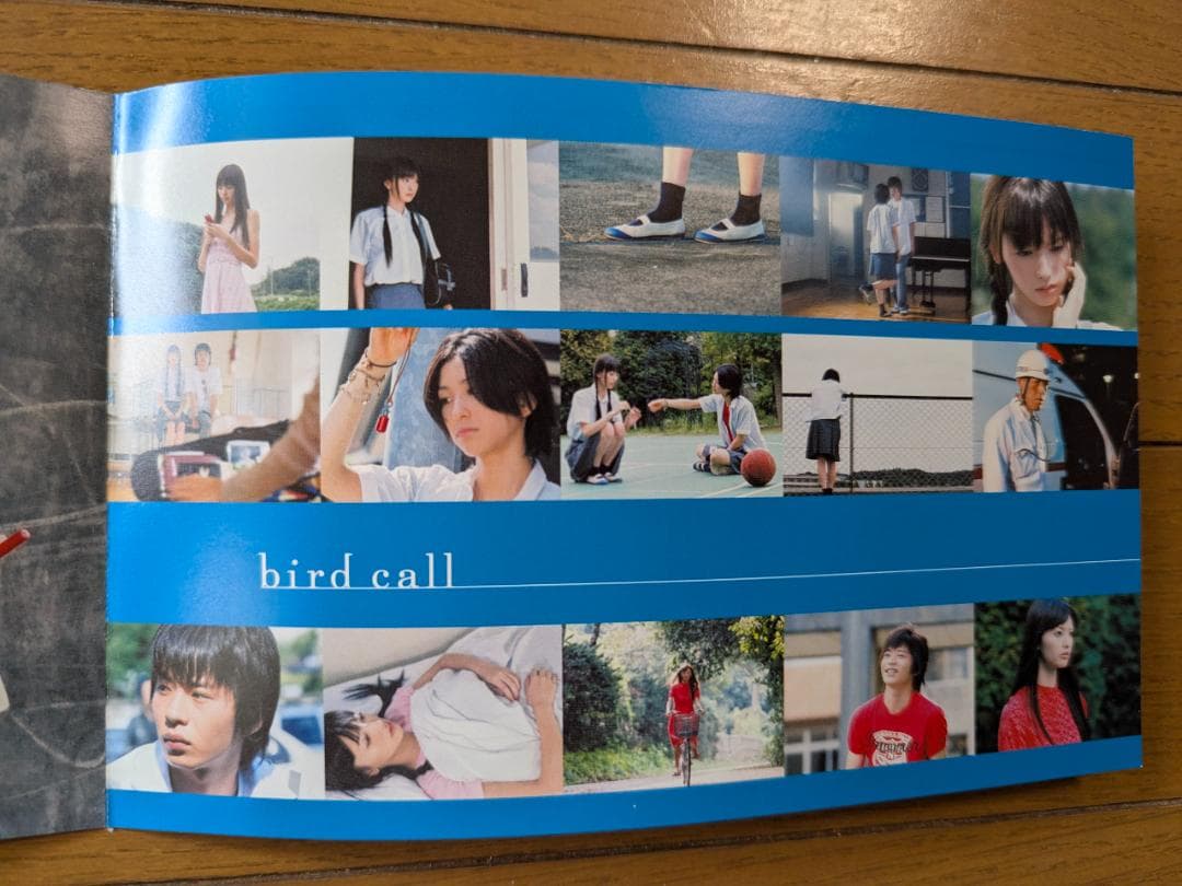 バードコール = bird call : 鈴木えみ、奥田恵梨華、田中圭