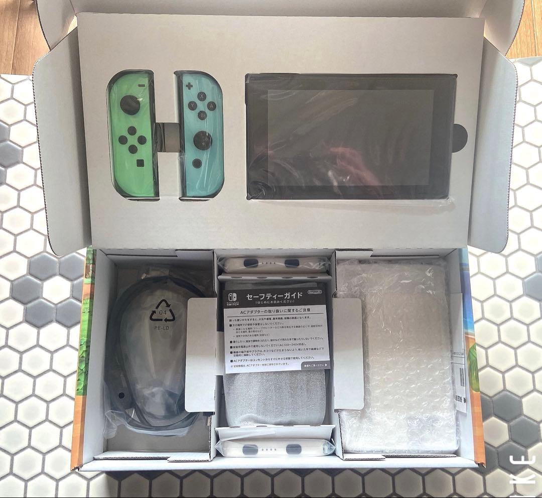 Nintendo Switch あつまれどうぶつの森セット ニンテンドースイッチ