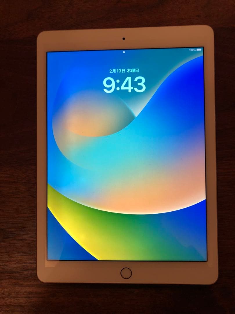 【大容量！値下げ】iPad Pro 9.7インチ WIFIモデル 256GB