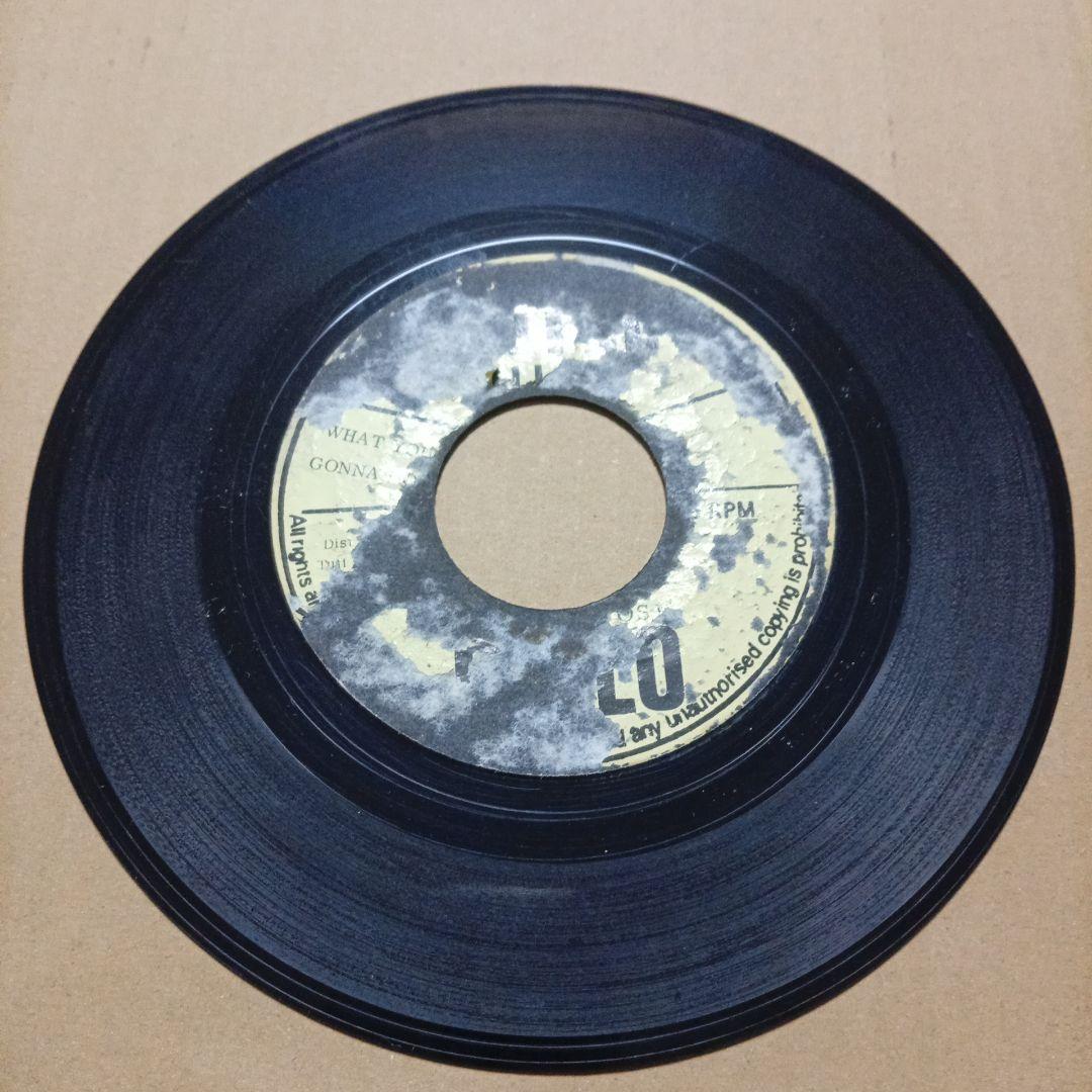 peter tosh - what you gonna do レコード レゲエ