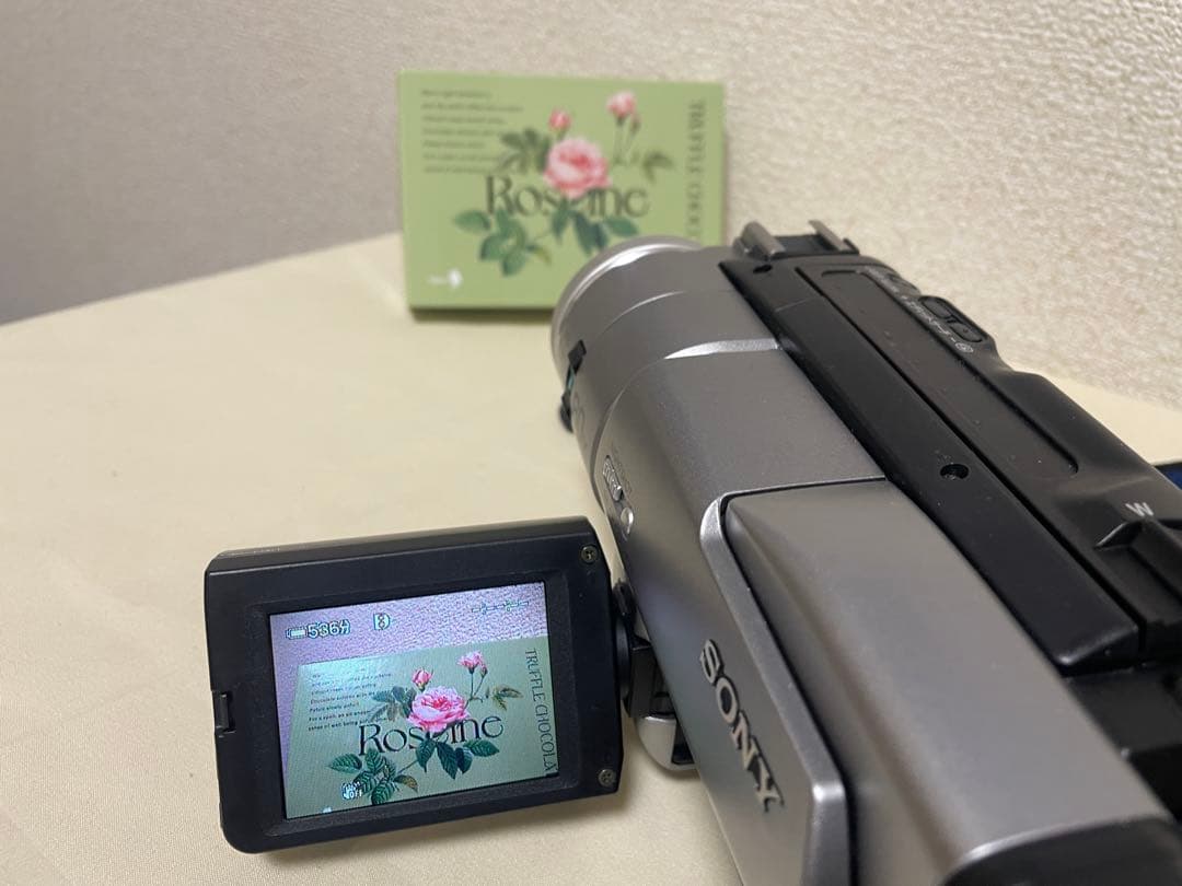SONY ビデオカメラ DCR-TRV735 撮影・ダビング用に　ハンディカム