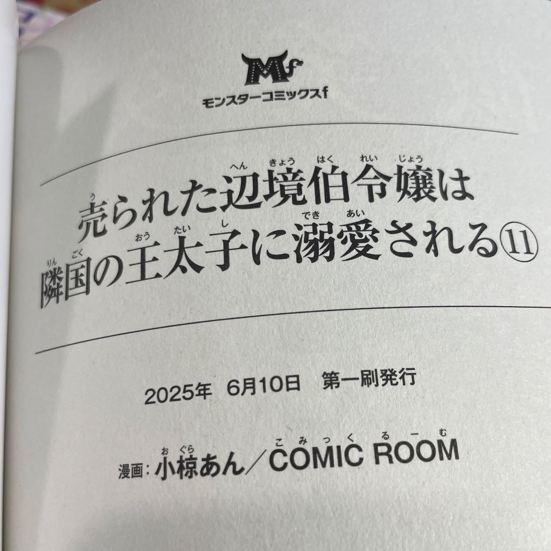 売られた辺境伯令嬢は隣国の王太子に溺愛される1〜11