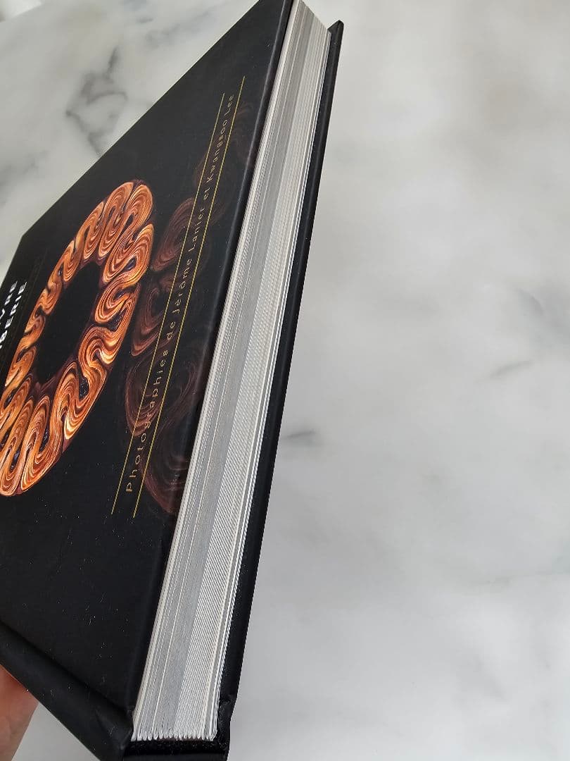 趣味・スポーツ・実用 LE GRAND LIVRE DE LA VIENNOISERIE