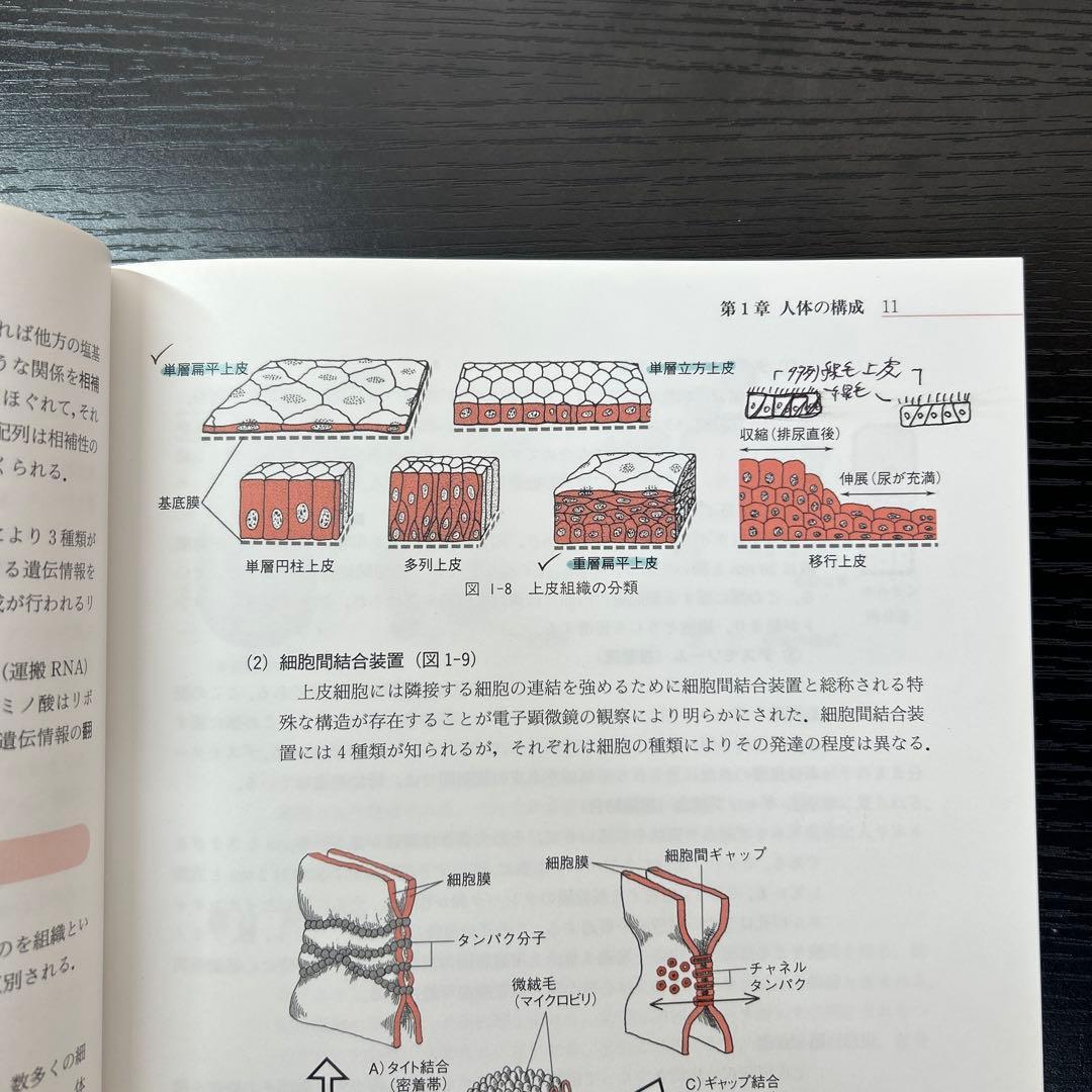 解剖学・生理学（医歯薬出版株式会社）