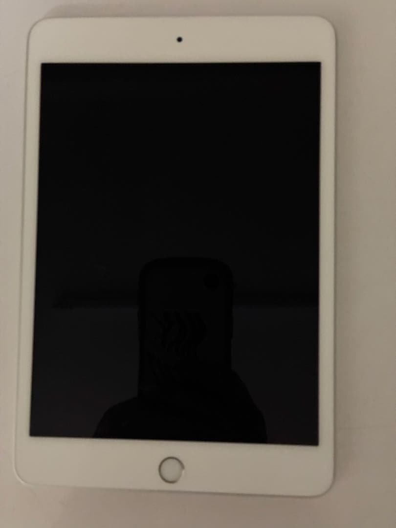 Apple iPad mini (第5世代) 64GB Wi-Fi 動作良好