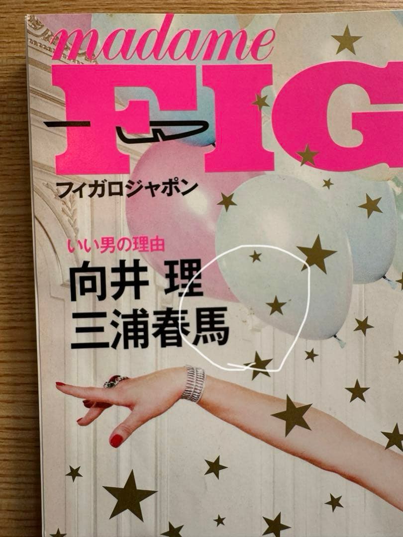FIGARO japon フィガロジャポン　2011年2月号