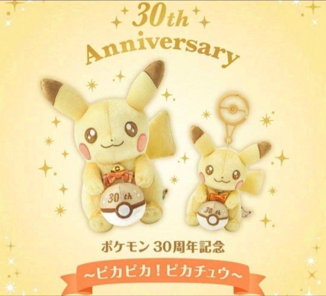 ピカチュウ ぬいぐるみ2体セット 誕生日テーマ　＊完全未開封