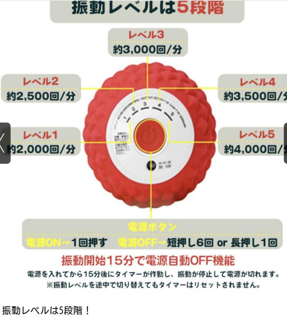 新品 TOKYU SPORTS シェイプツインボール STB-100 ブラック