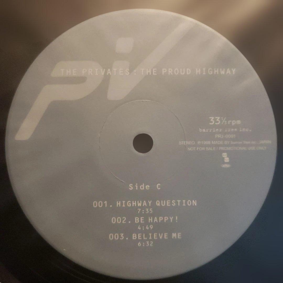 希少 THE PRIVATES 国内プロモ 非売品 2LP