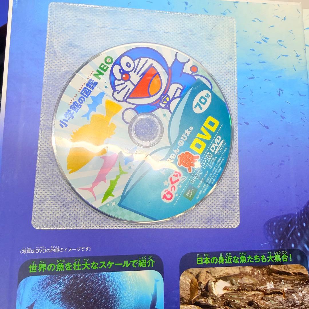 DVD付き　小学館の図鑑 neo 8冊セット