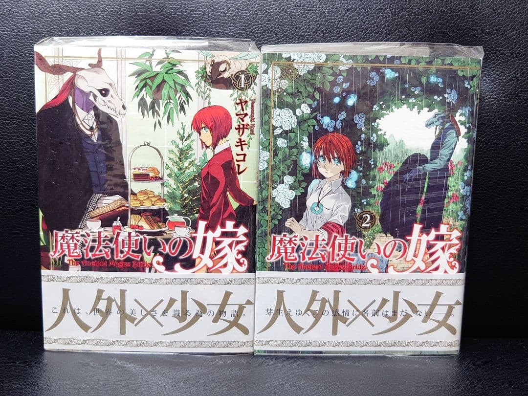 魔法使いの嫁 1-22巻 ヤマザキコレ