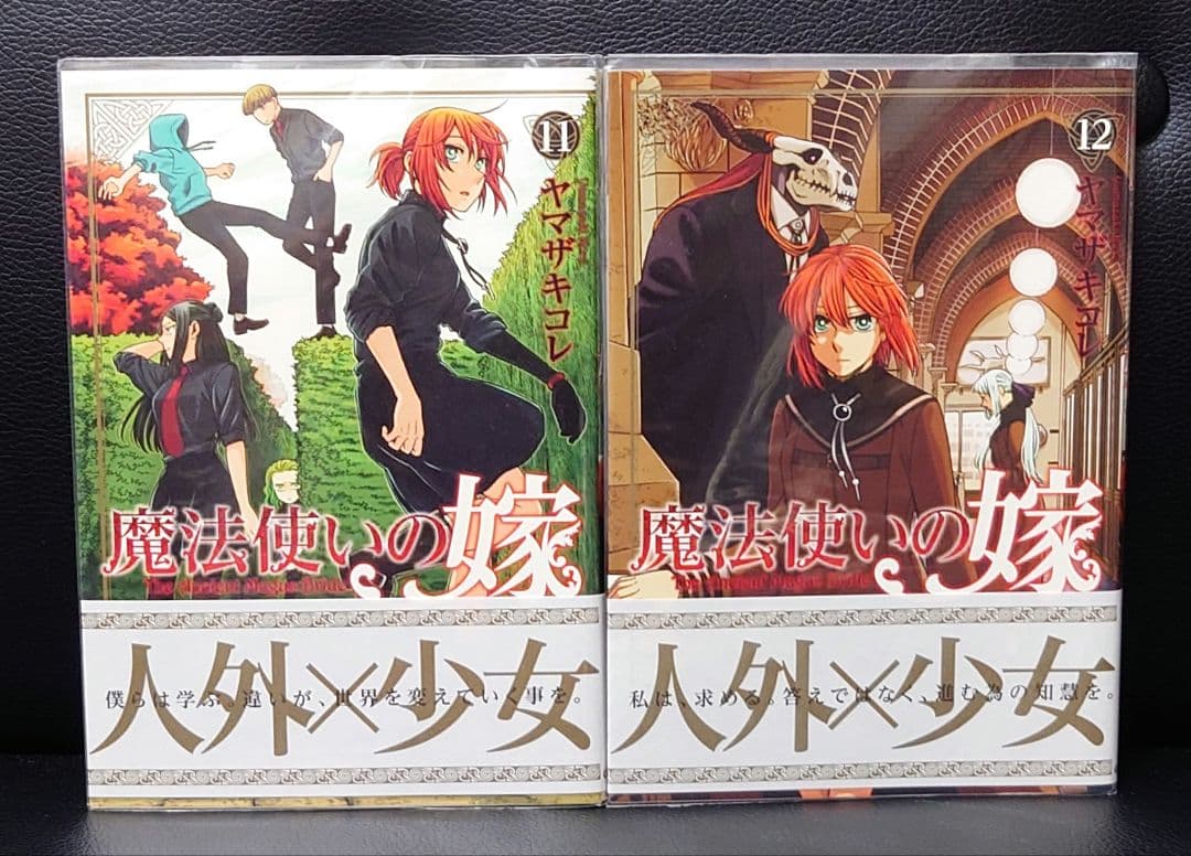 魔法使いの嫁 1-22巻 ヤマザキコレ