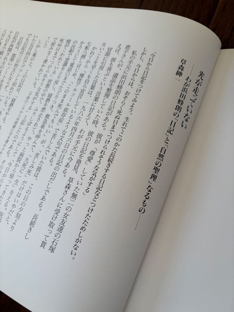 浜田蜂朗　殺風景