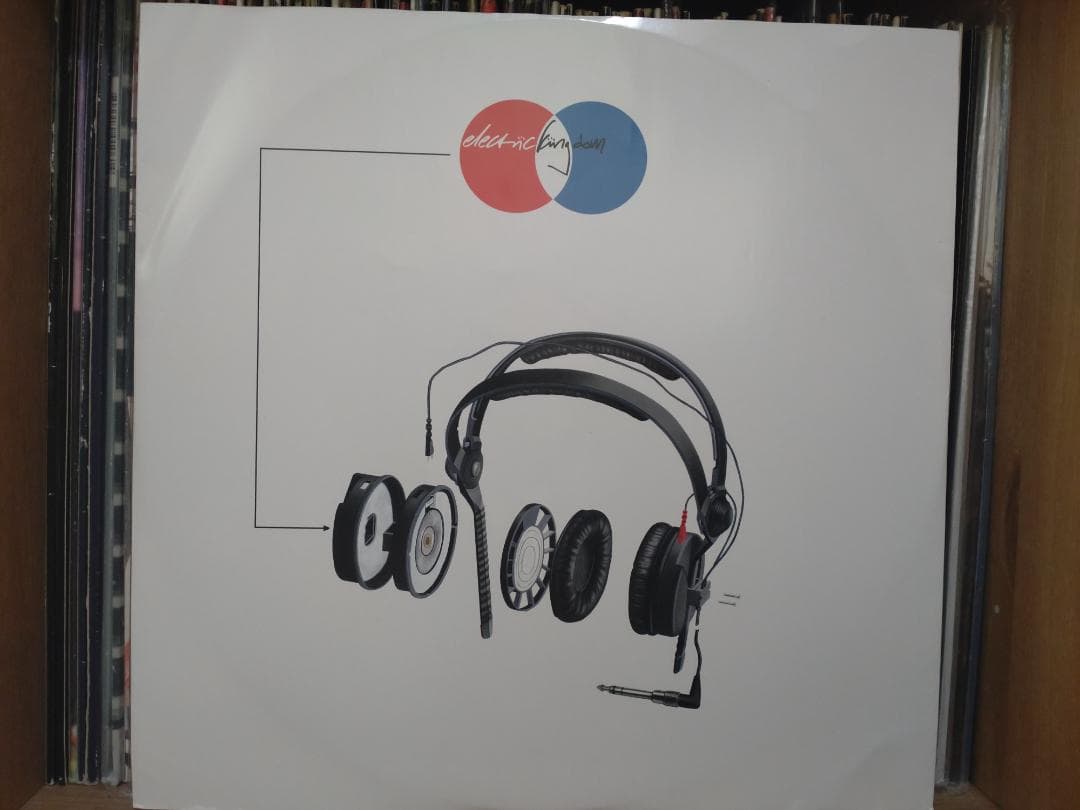 Electric Kingdom （5枚セット） レコード テクノ エレクトロ