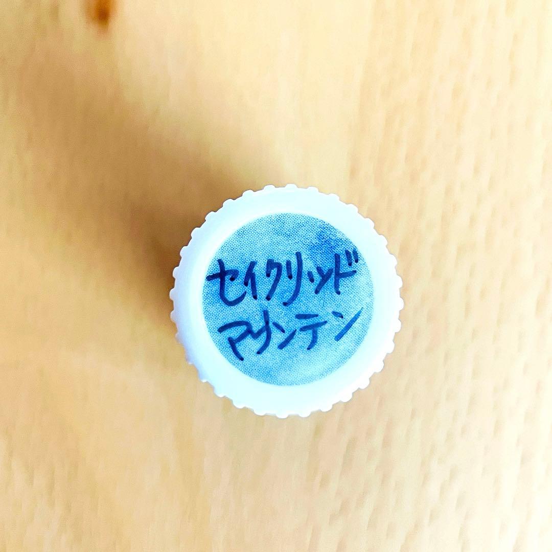 ★junta★ヤングリビング セイクレッドマウンテン ＆ グラティチュード