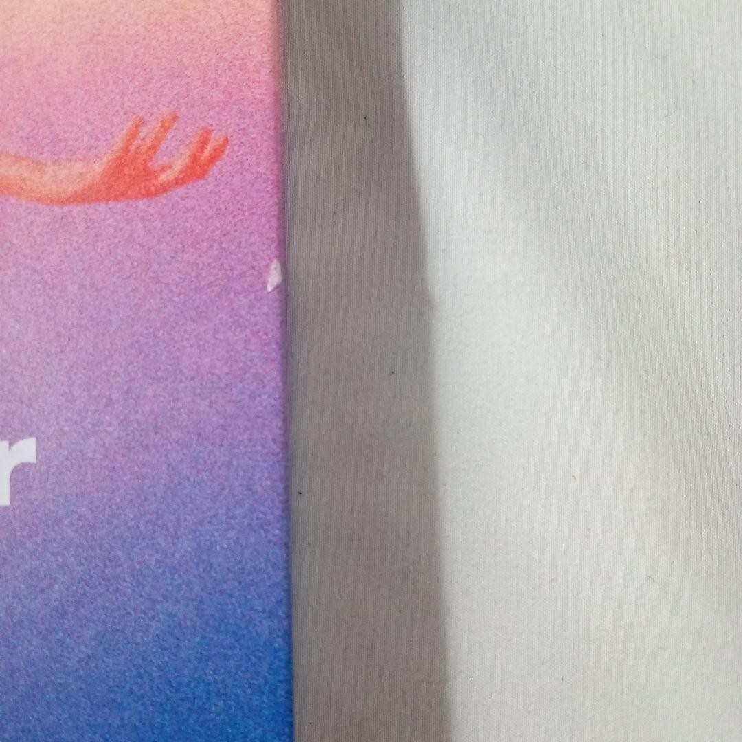 洋書 Ryan McGinley Way Far