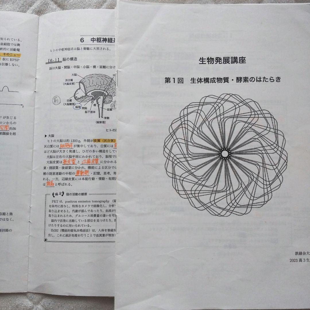 鉄緑会 高３生物 テキスト プリント セット 大阪校