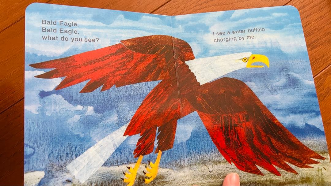 Eric carle/brown bear絵本セット11冊 新品