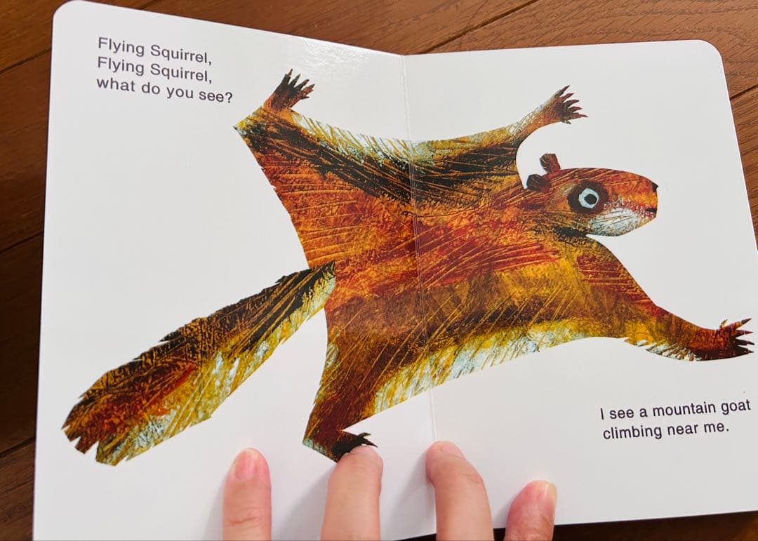 Eric carle/brown bear絵本セット11冊 新品
