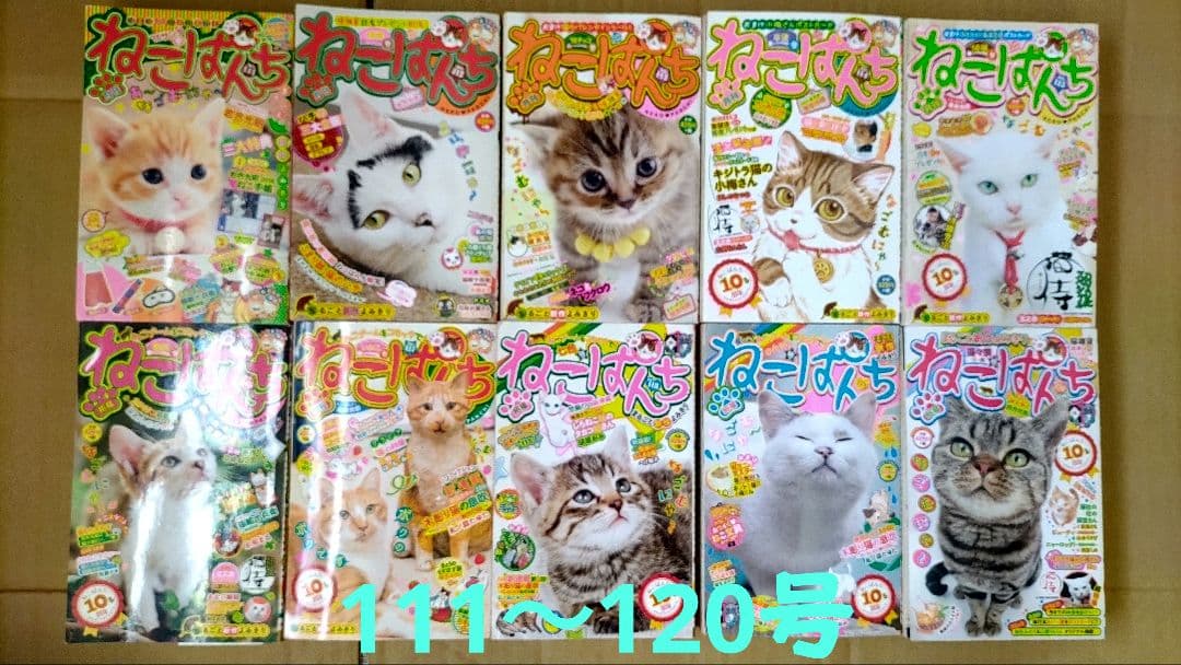 （バラ売り前提リストページ）雑誌ねこぱんち 大量出品（必ず説明をお読みください）