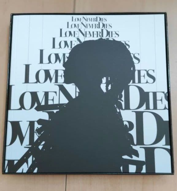 LOVE NEVER DIES MISIA　ARTBOOK 専用BOX付き