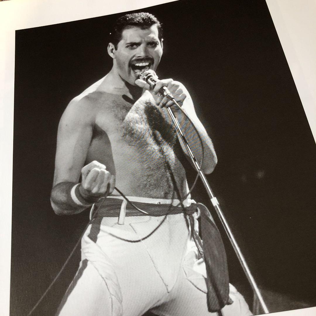 10411 QUEEN / ONE VISION DVD4枚組