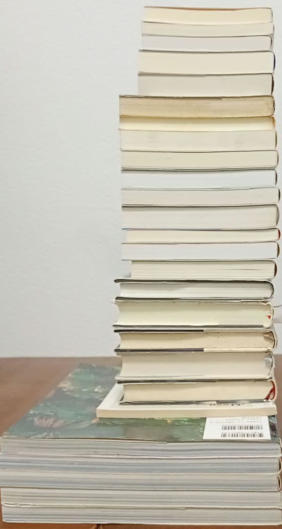 脳と心 宇宙 まとめ売り 26冊 セット 茂木健一郎 養老孟司 科学 オカルト
