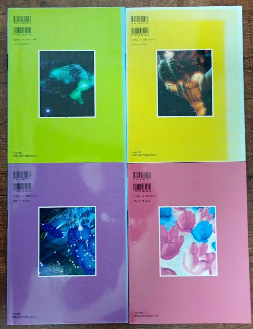 脳と心 宇宙 まとめ売り 26冊 セット 茂木健一郎 養老孟司 科学 オカルト