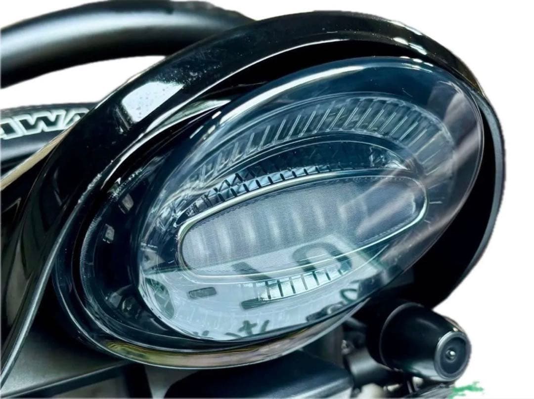 【延長カラー付】Z900RS シリーズ テールランプ アワビテール スモーク