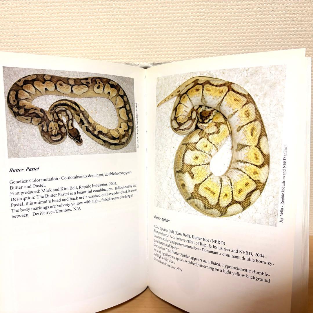 The Complete Ball Python コンプリートボールパイソン