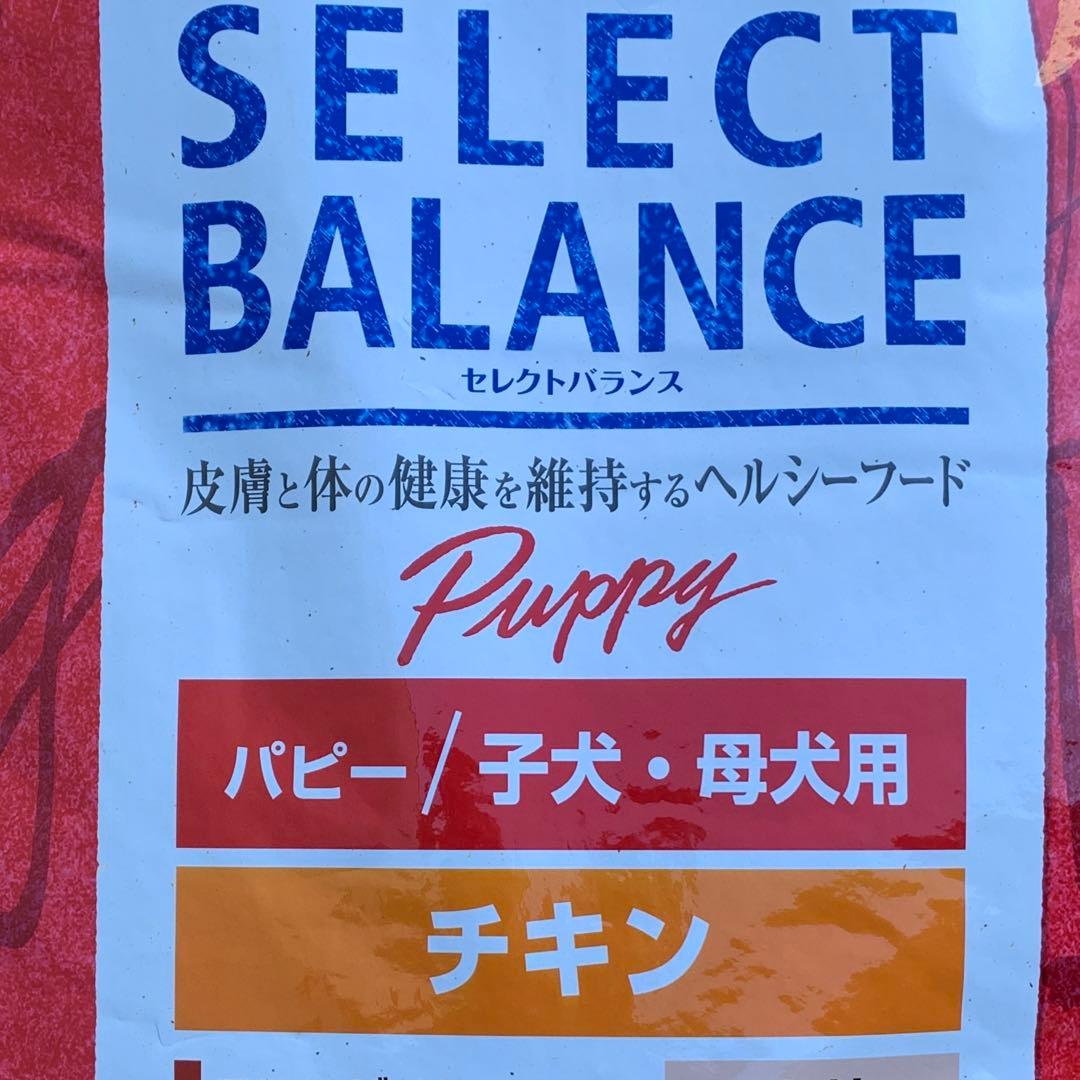 パピーチキン15キロ