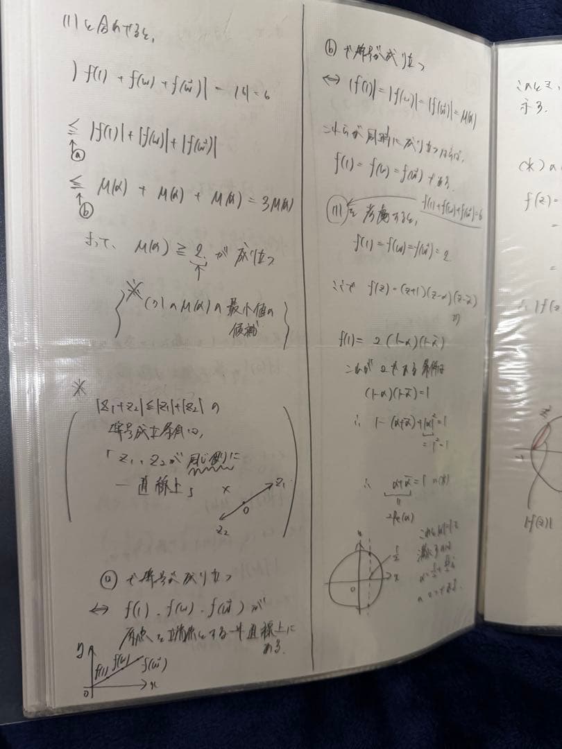 東大理系数学 2024/2025 冬季講習　駿台