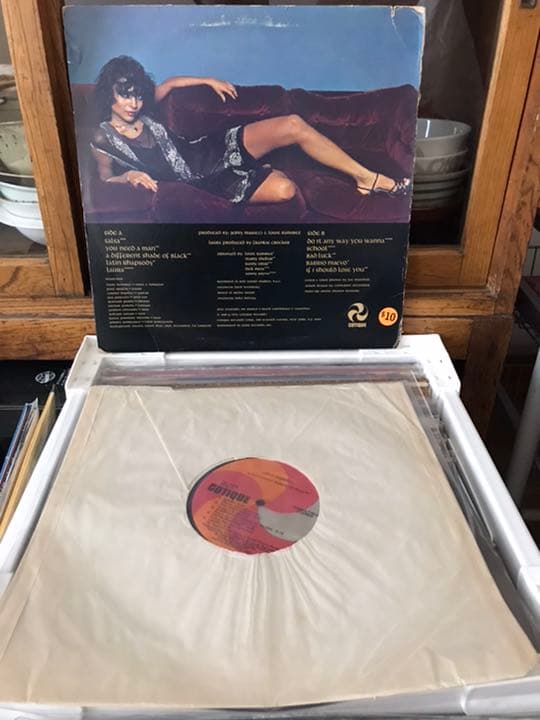 洋楽 louie ramirez/a different shade of black