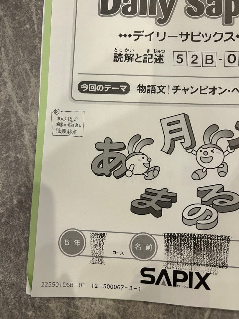 サピックス　５年　国語　１年分全て