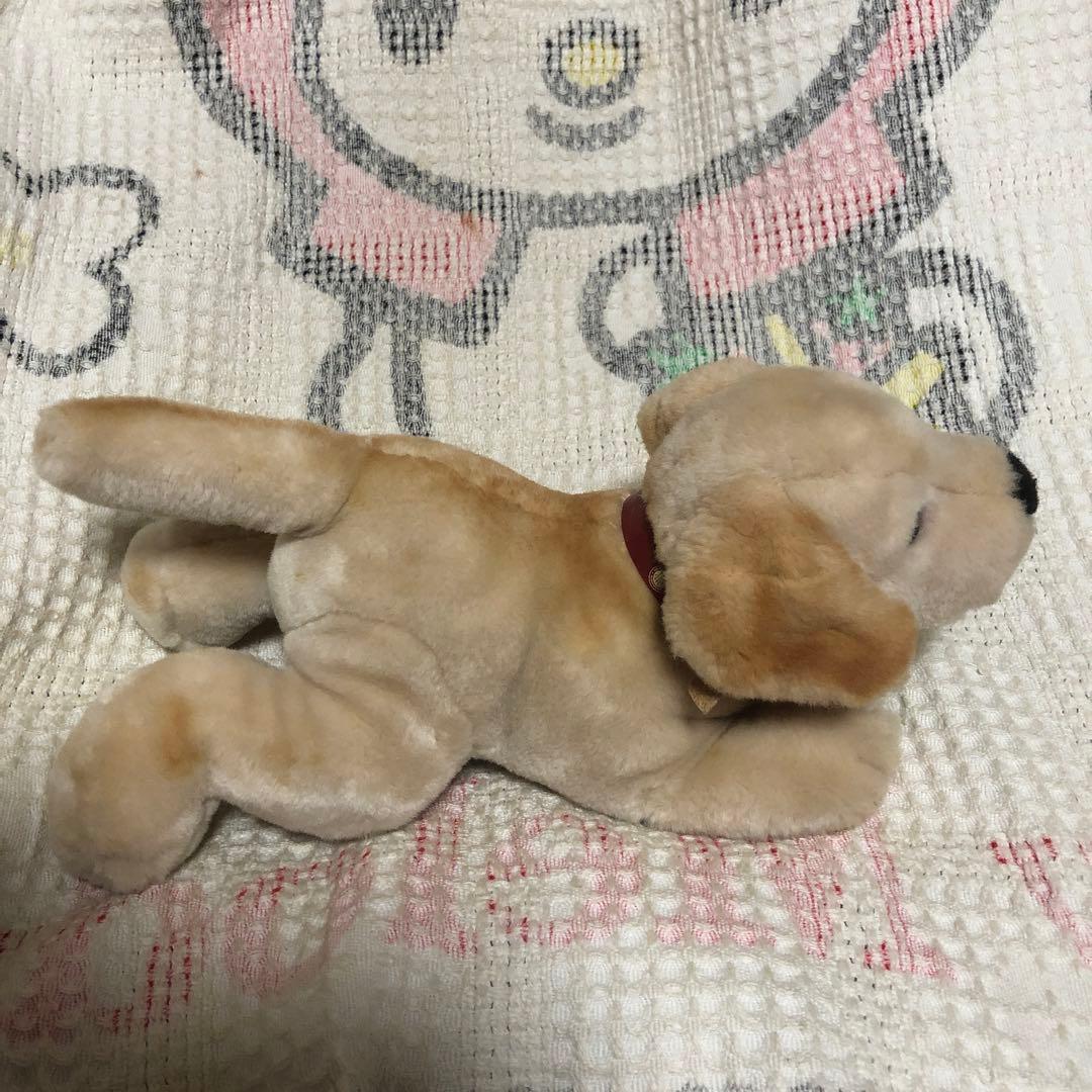 シュタイフ　ラブラドールレトリバーの子犬　ぬいぐるみ　中古品