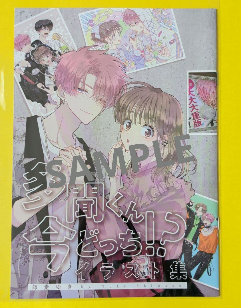 多聞くん今どっち！？写真集　イラスト集 うちわ　会報　全プレ 花とゆめ 師走ゆき