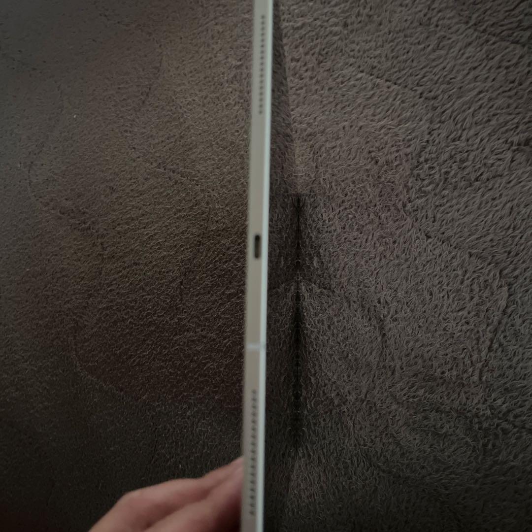 iPadPro第4世代12.9㌅512GBシルバーWi-Fi＋Cellular