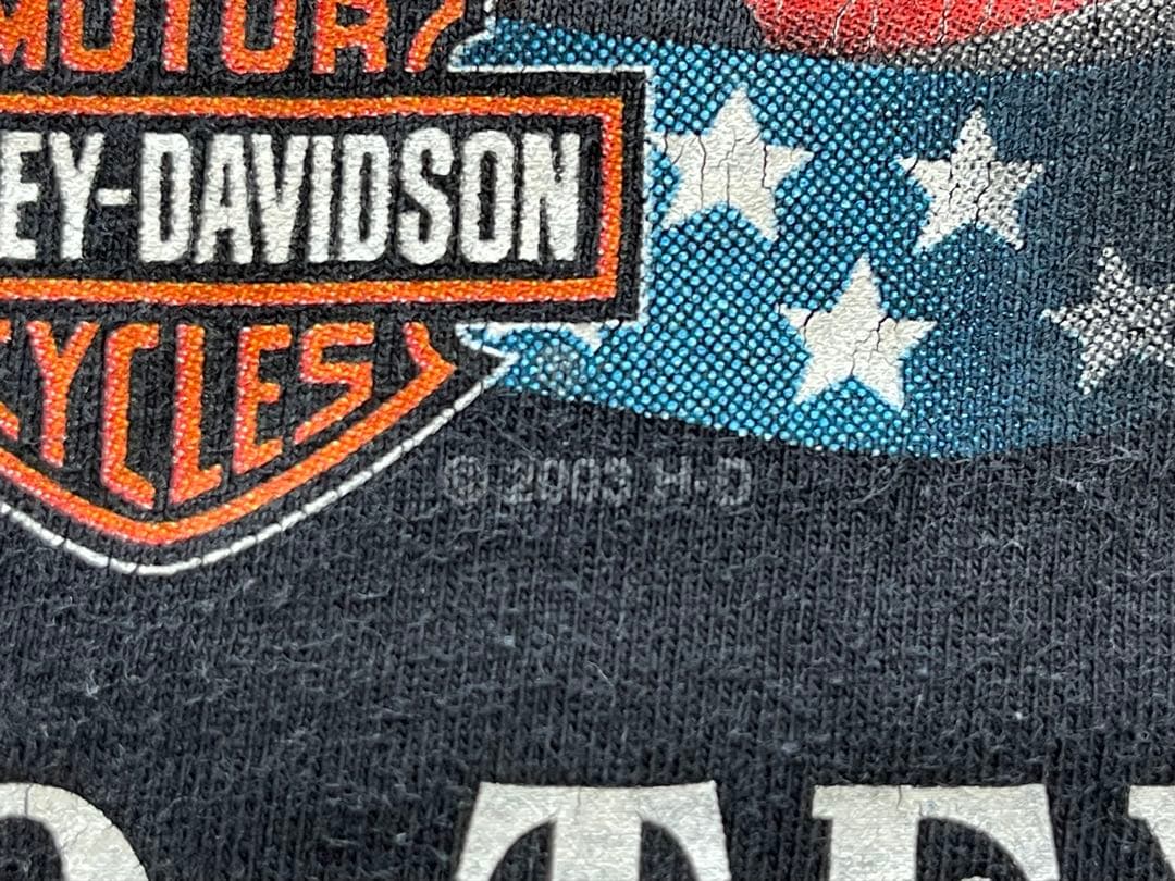 t*2様 Harley-Davidson Barnett 00s Tシャツ