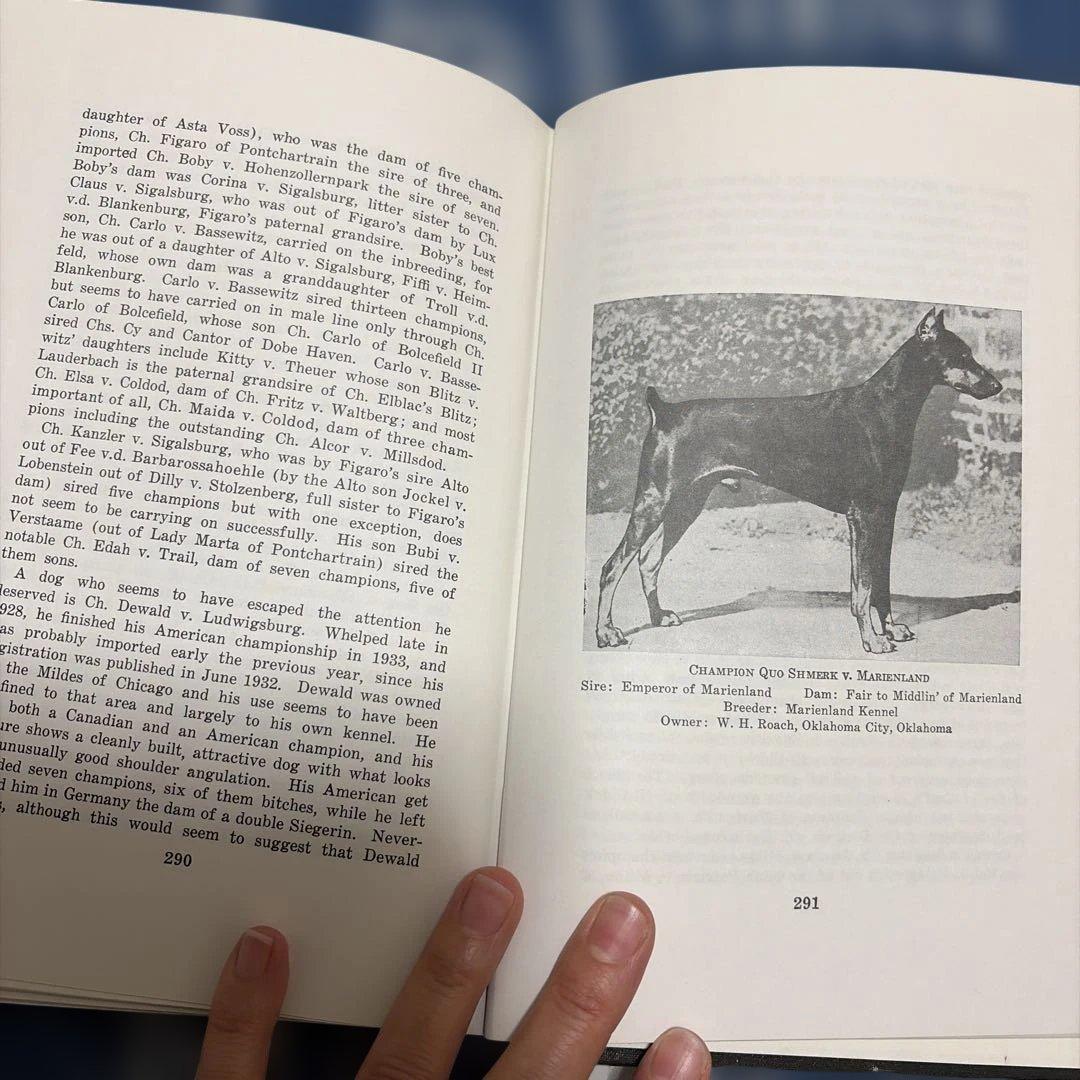 洋書 The Complete Doberman Pinscher