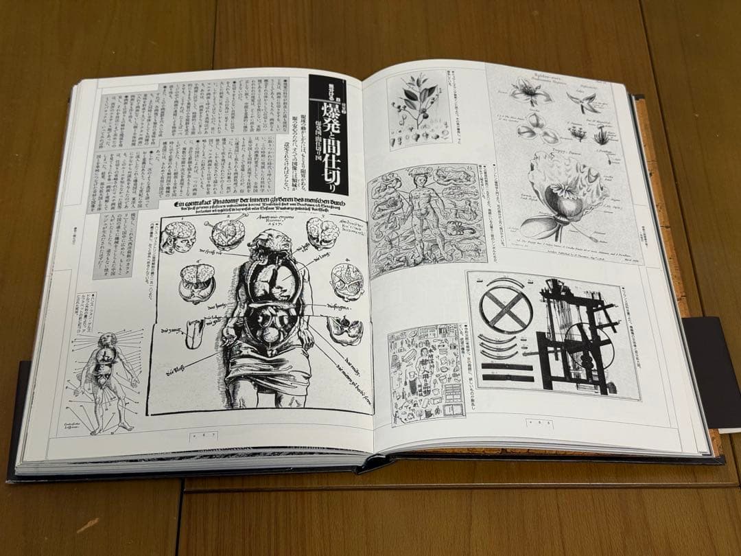 【想像力博物館】荒俣 宏/鈴木一 誌/春井 裕