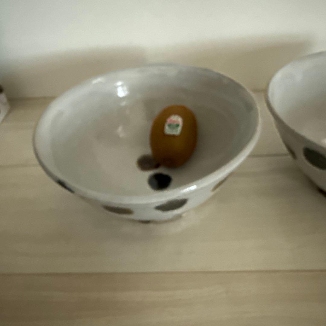 斉藤十郎　鉢2枚組　21cm7寸