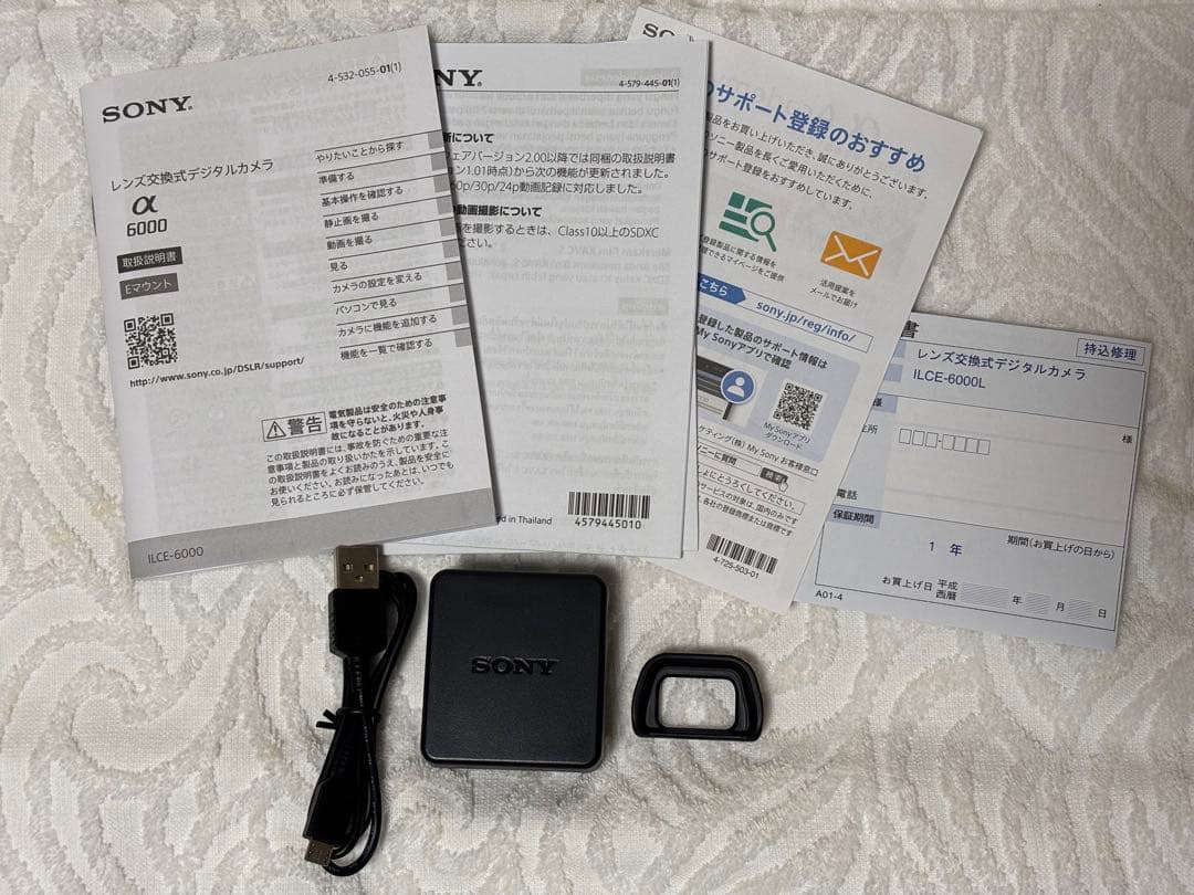 Sony α6000 シルバー ボディのみ