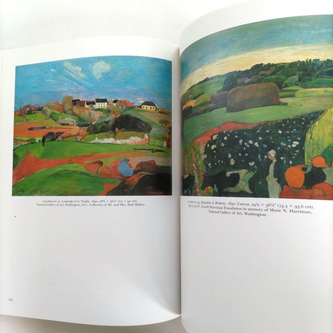Paul Gauguin:1848-1903/ポール・ゴーギャン 画集 作品集